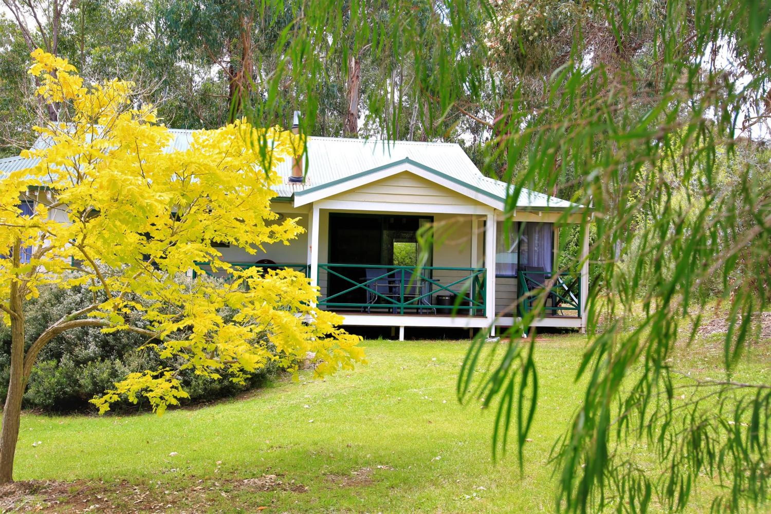 A single-story building with a porch, surrounded by lush greenery and a tree with yellow leaves.