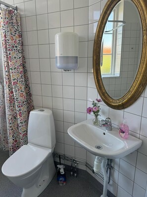 A bathroom with a toilet, a sink, a mirror, and a shower curtain. - Stf Landskrona Hostel (Landskrona)