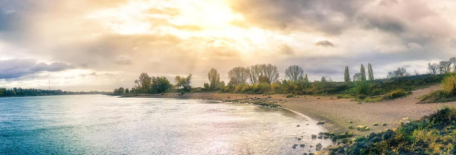 Une rive de rivière bordée d’arbres, sous un ciel dégagé.