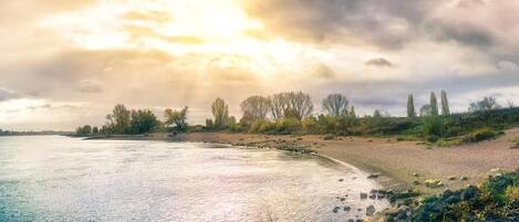 A riverbank with trees and a clear sky.