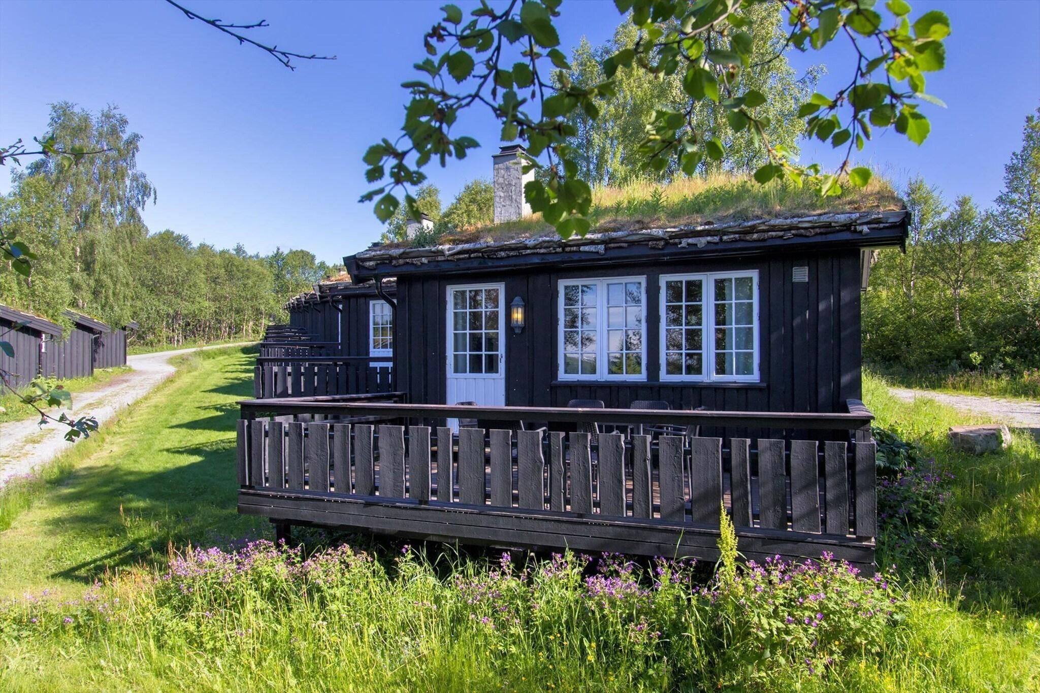 Eksteriør