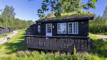 Eksteriør