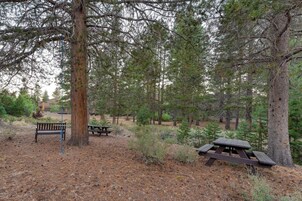 A forested area with picnic tables and a bench.