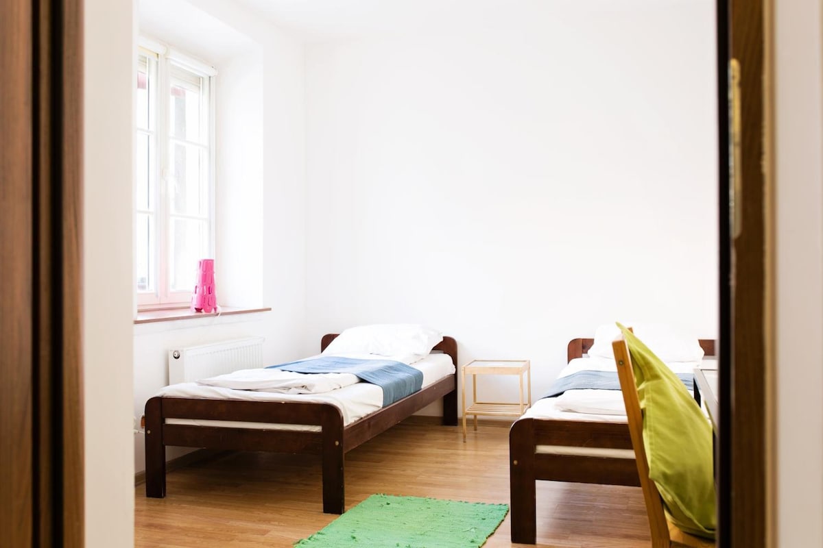 A room with two wooden beds, a window with a pink object on the sill, a radiator, and a green rug on the floor.