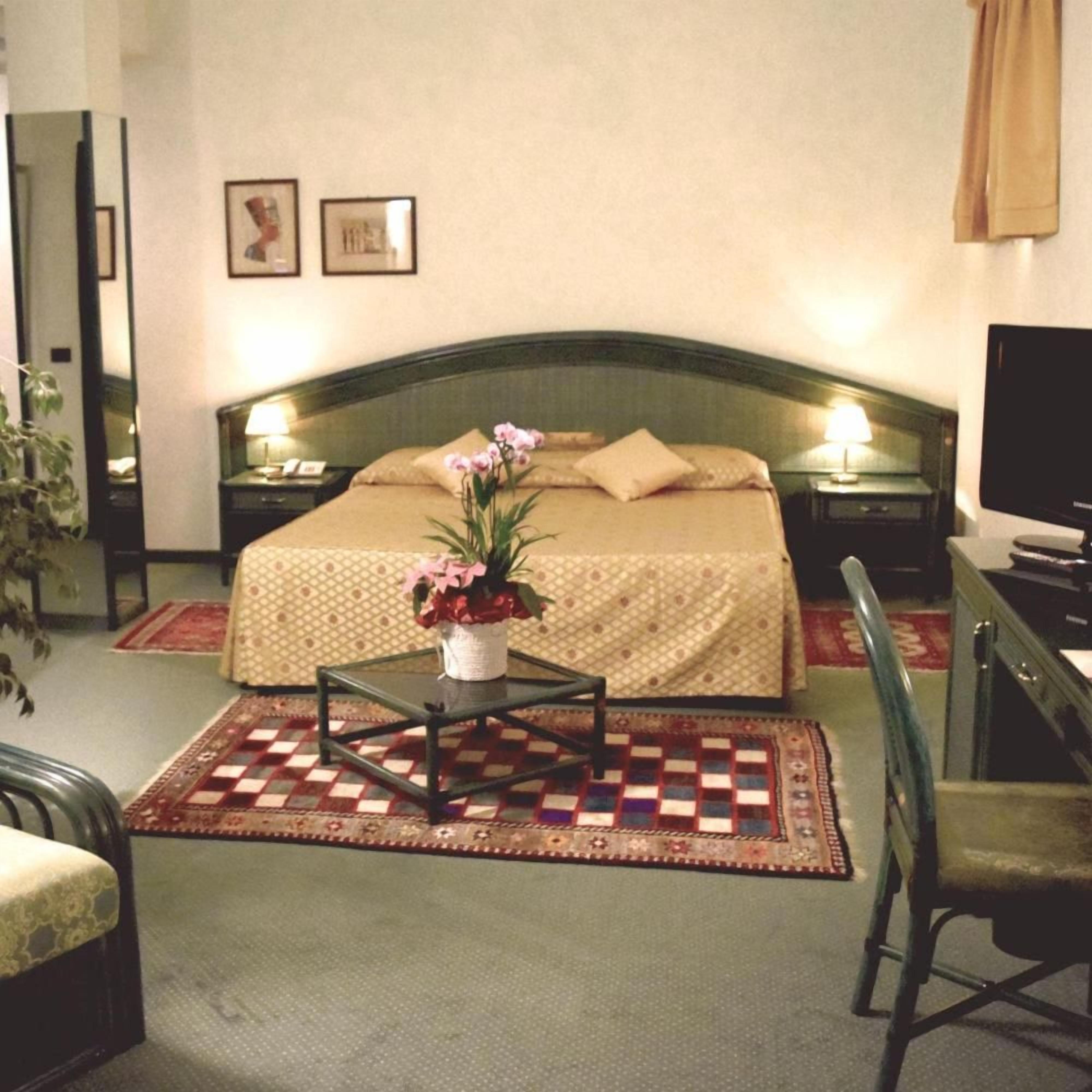 Camera d'albergo con un letto, un tavolino con un vaso di fiori, una sedia, una scrivania e una televisione.