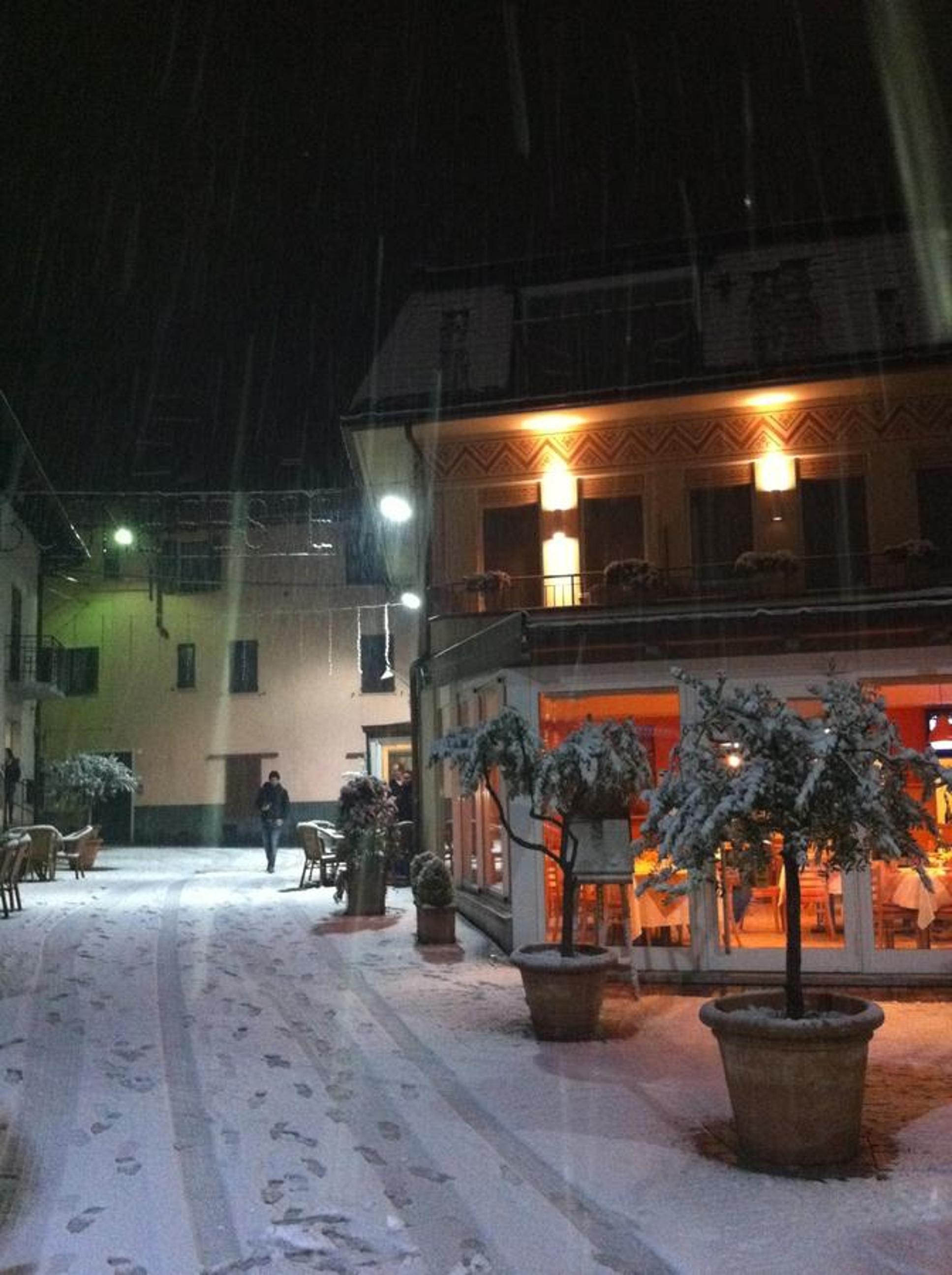 Zona exterior nevada con plantas en macetas y un edificio con iluminación cálida en su interior.