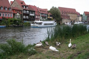 Un río con barcas, patos y edificios tradicionales europeos a lo largo de la orilla.