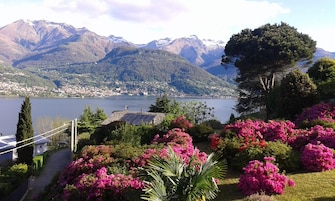 Vista para o lago com montanhas ao fundo, um edifício com painéis solares e flores rosa vibrantes em primeiro plano.