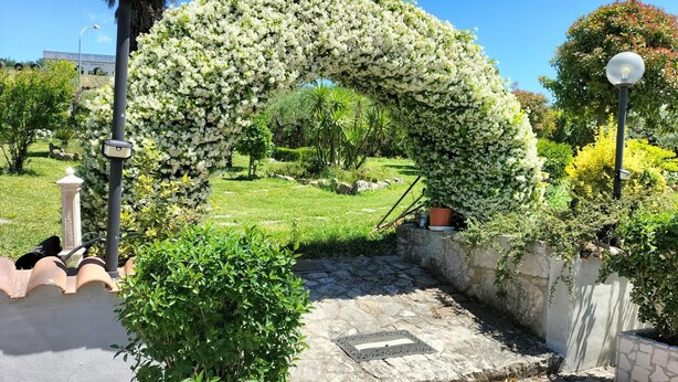 View from property - Hotel Vittoria (Torrecuso)