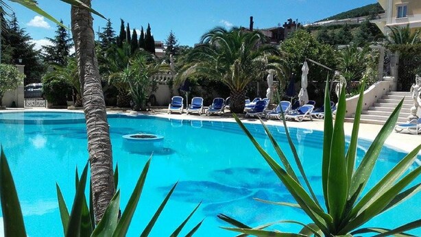 Una piscina azul cristalina con sillas de descanso y palmeras.