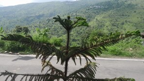 Un camino con un árbol en primer plano y un paisaje montañoso al fondo.