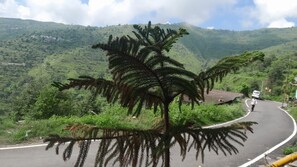 A winding road with a palm tree on the side, surrounded by lush green hills. - Andanam Village Stay,6Km Nagtibba Trek  (Dhanaulti)