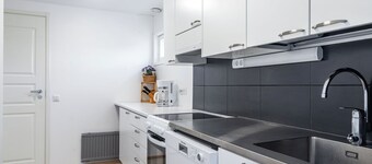 1BR Downtown Apt with Sauna & Balcony