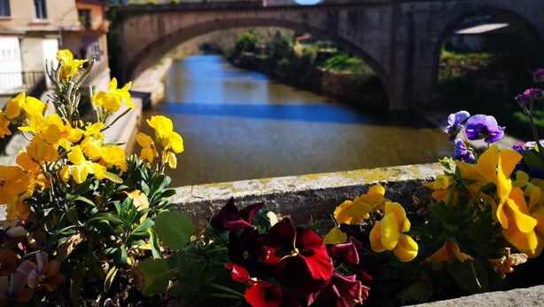 Eine Steinbrücke über einem Fluss, im Vordergrund Blumen.