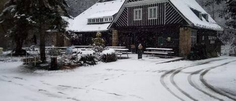 Un edificio cubierto de nieve con techo inclinado, rodeado de árboles cargados de nieve.