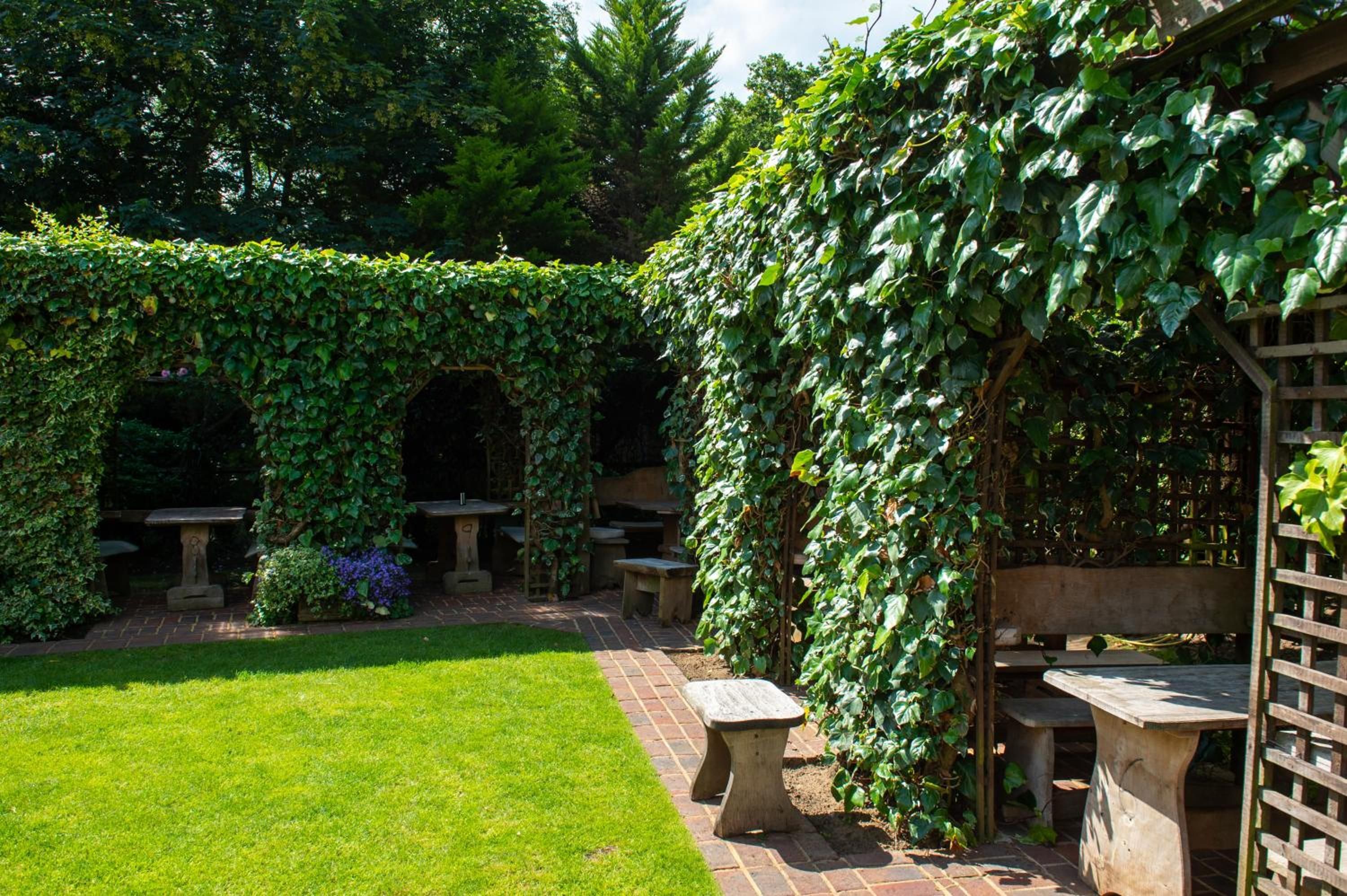 A garden with a brick pathway, stone benches, and a wooden pergola covered in ivy.