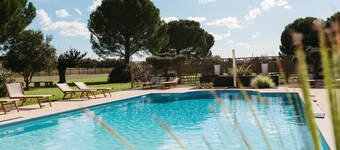 Sous Les Pins