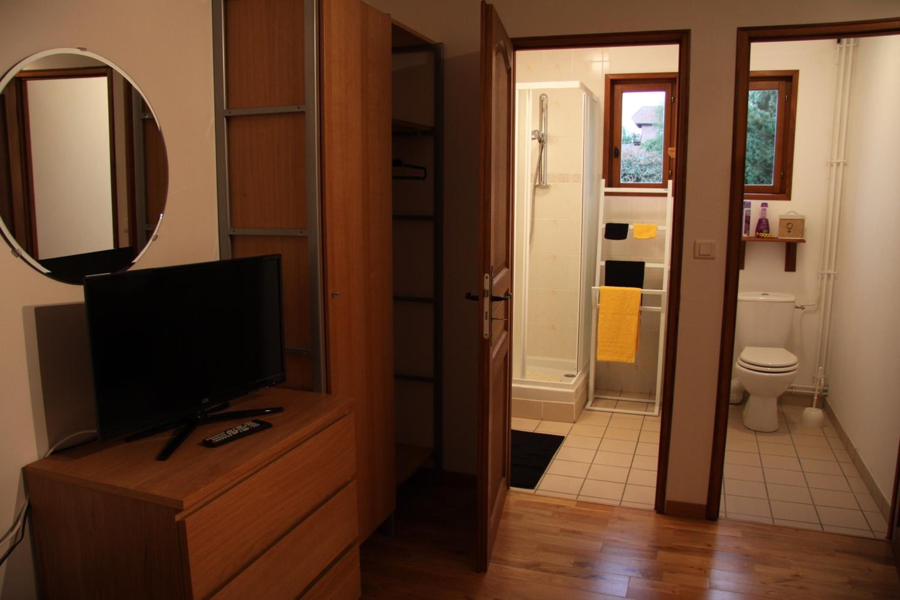 A room with a television on a wooden dresser, a mirror, and an open door leading to a bathroom with a shower, toilet, and a shelf with toiletries.