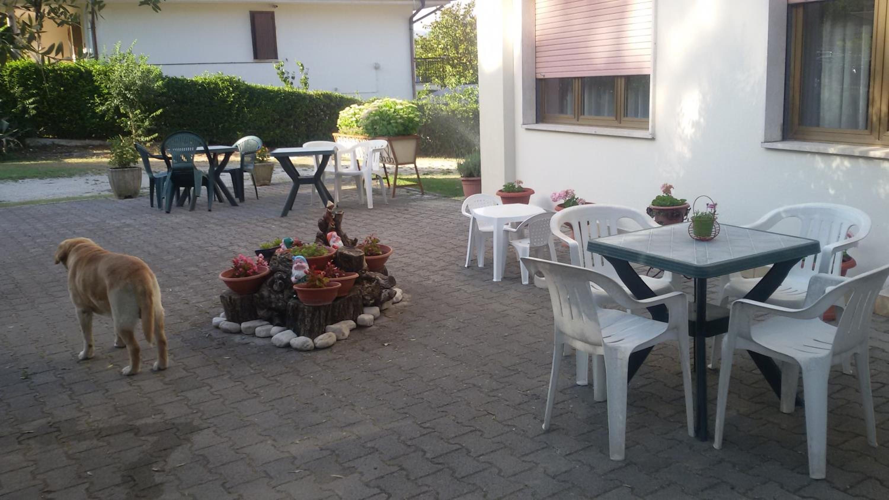 Eine Terrasse im Freien mit Tisch und Stühlen, umgeben von Topfpflanzen und einem Hund.