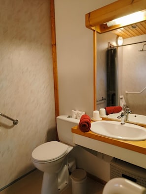 Un baño con inodoro, lavamanos y espejo.