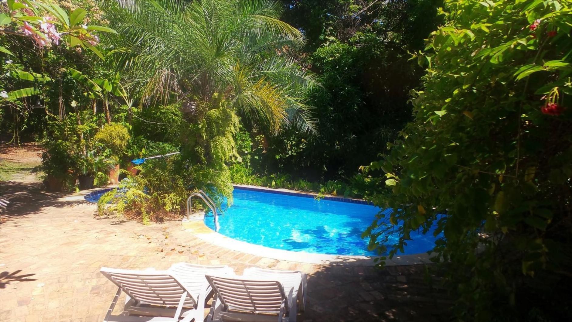 A swimming pool surrounded by lush greenery, with two lounge chairs and a metal ladder leading into the water.