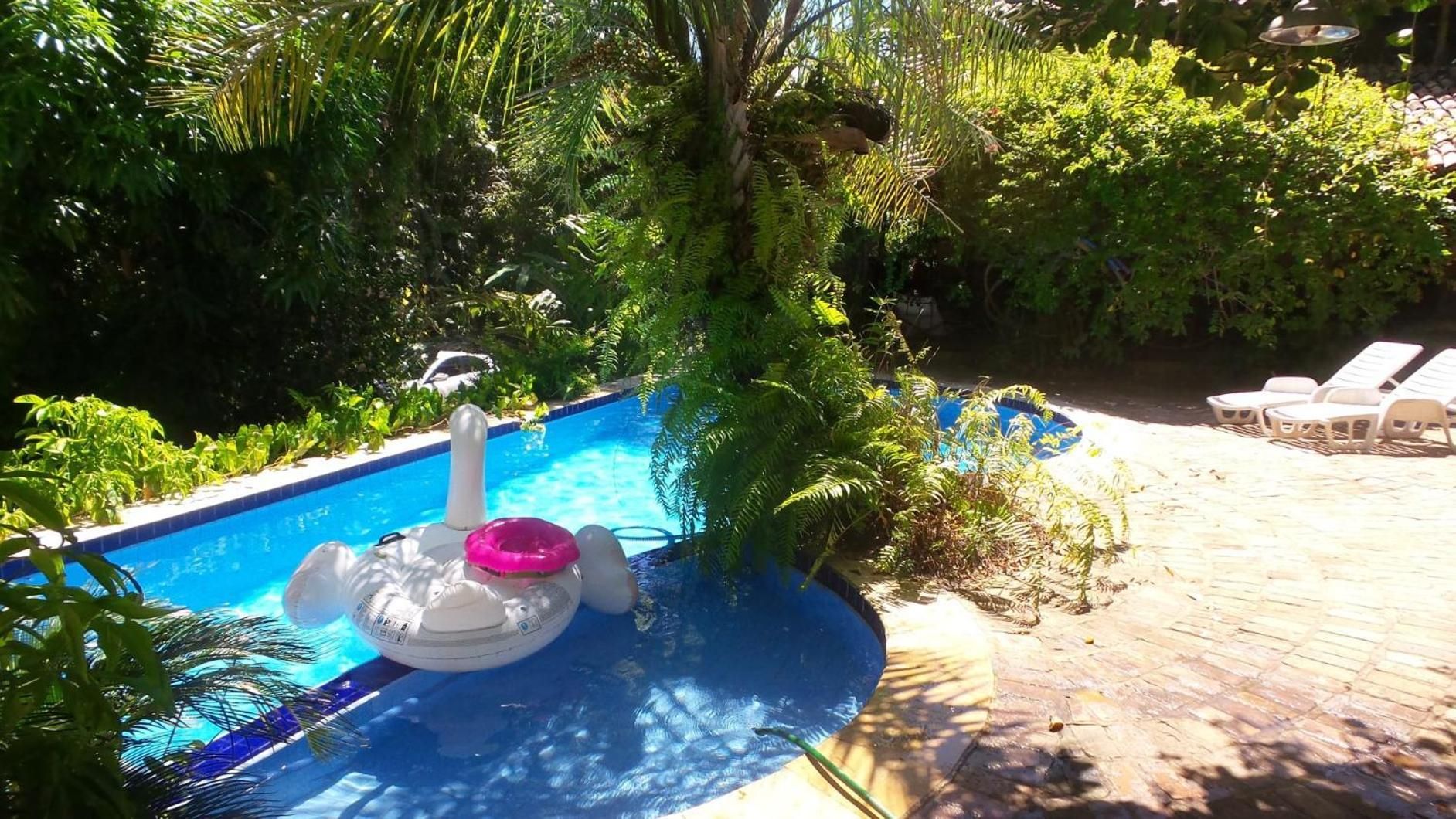 A swimming pool with a white inflatable float and a pink ring, surrounded by lush greenery and a brick patio with lounge chairs.