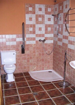 Un baño con inodoro, ducha y lavamanos.