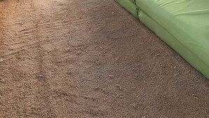 Quarto com sofá verde, mesa de madeira e duas janelas com vista para árvores e uma estrutura azul lá fora.