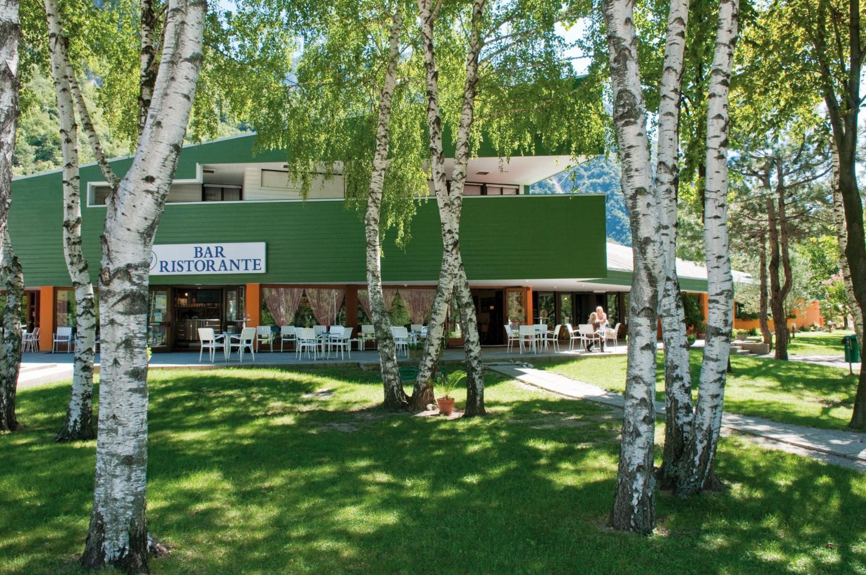 Un bar e ristorante con posti a sedere all'aperto, immerso tra betulle.