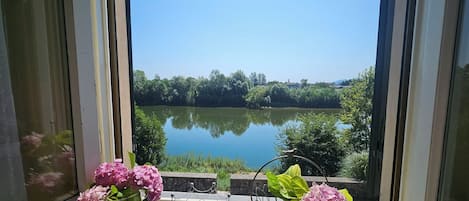 A window view of a calm lake with trees and a clear sky.
