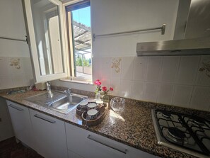 A kitchen with a stainless steel sink, a gas stove, and a window with a view of greenery outside. - Apartment in Lucca with 1 bedrooms sleeps 4 (Lucca)