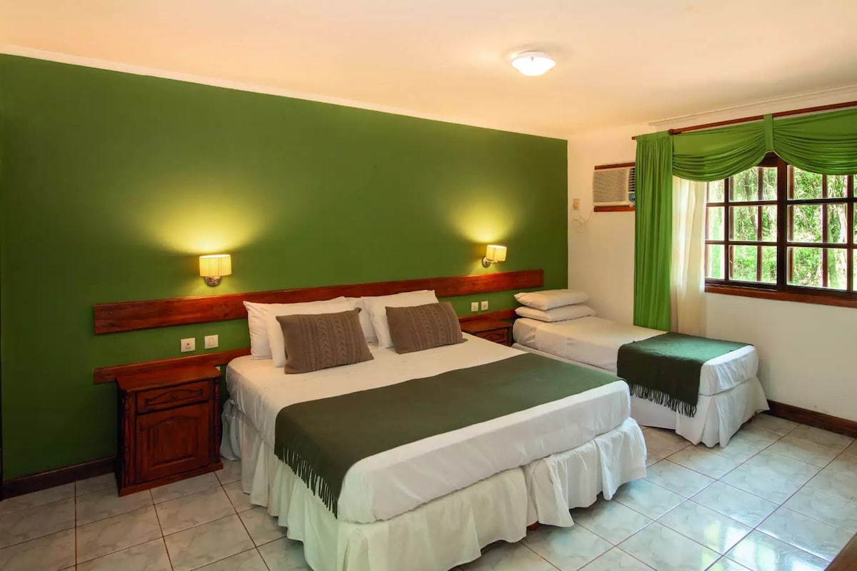 A room with a large bed, a smaller bed, two nightstands, and a window with curtains.