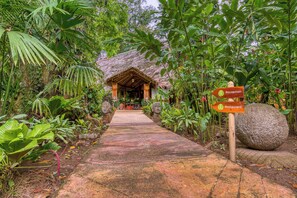 A pathway leading to a building with a thatched roof, surrounded by lush greenery and two directional signs indicating a reception and restaurant. - Shawandha Hotel (Cahuita)