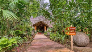 A pathway leading to a building with a thatched roof, surrounded by lush greenery and two directional signs indicating a reception and restaurant. - Shawandha Hotel (Cahuita)