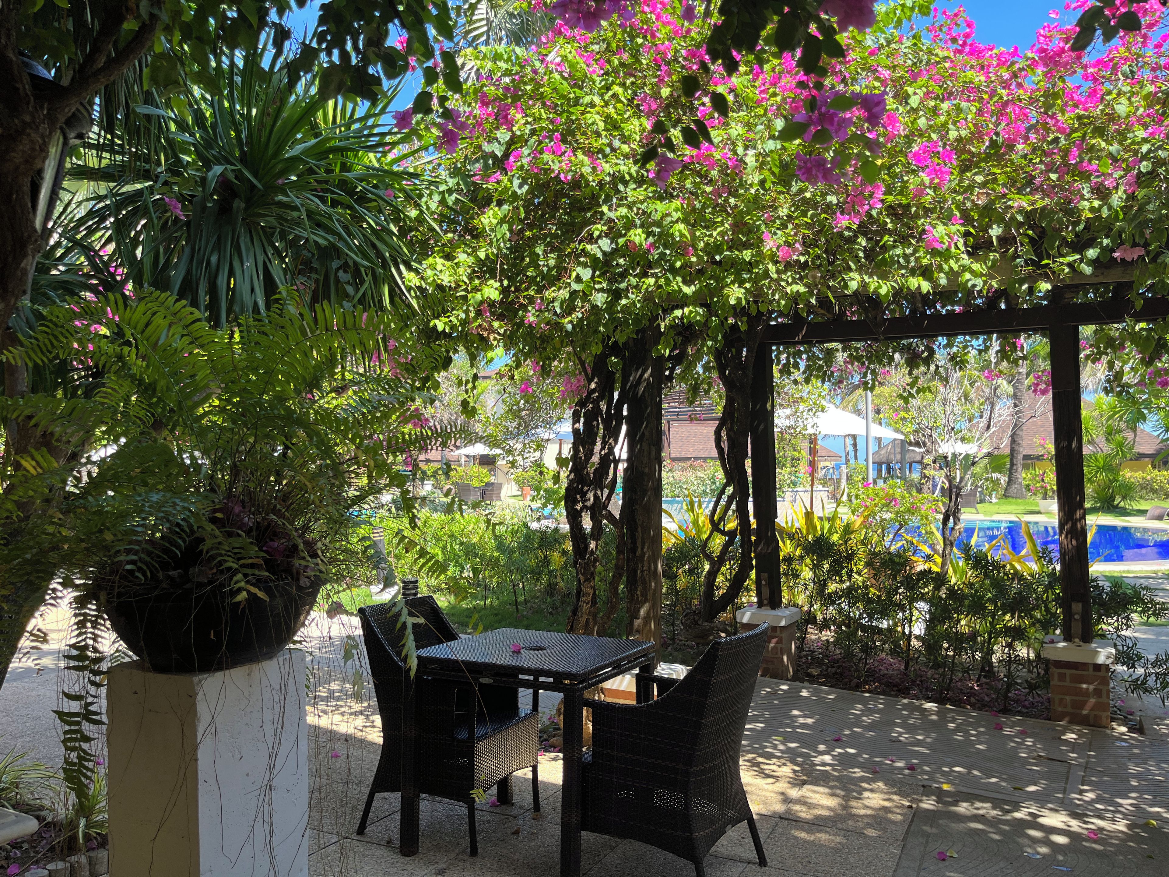 Un área de estar al aire libre con una mesa y sillas, rodeada de exuberante follaje y plantas en flor.