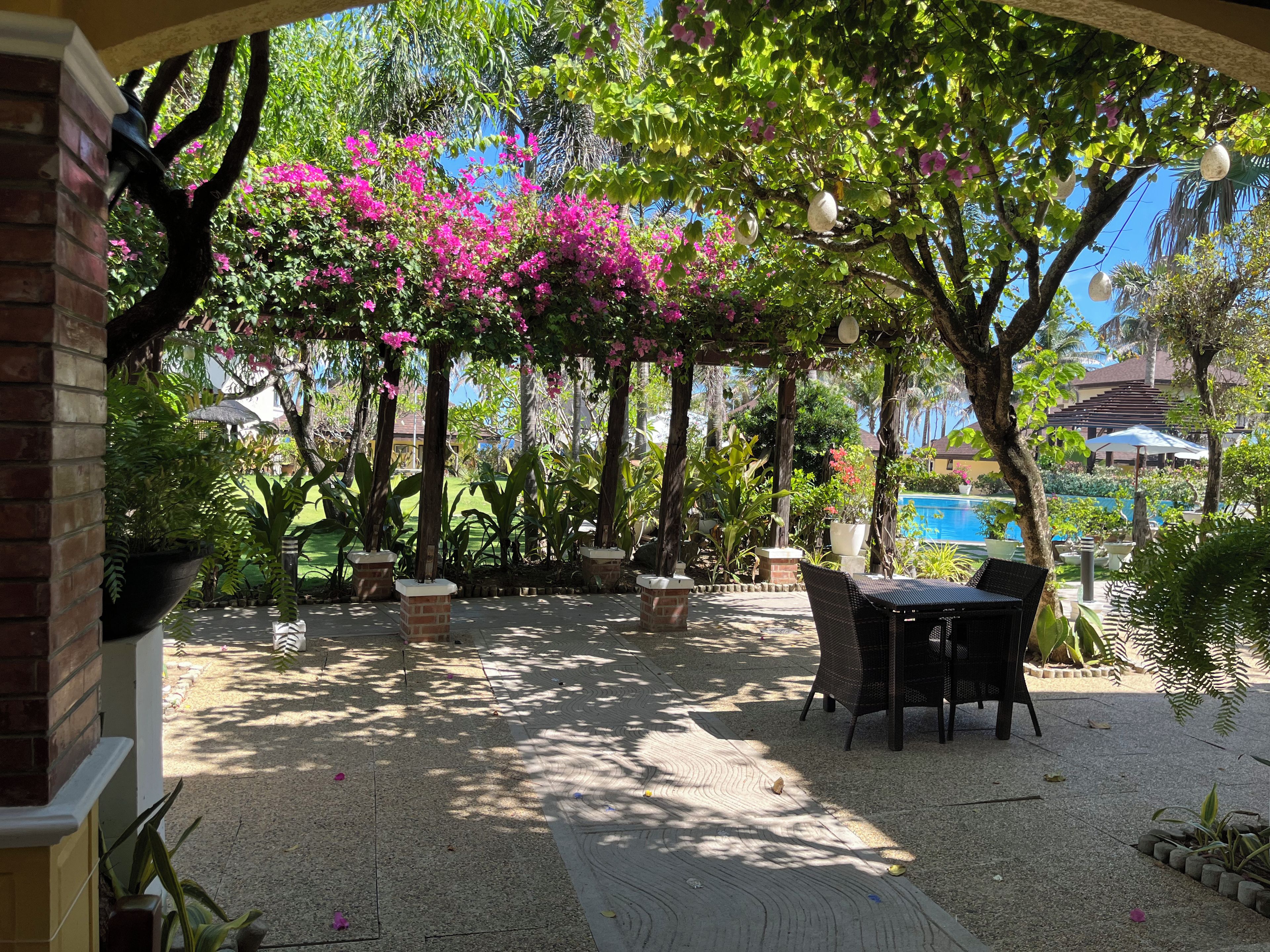 An outdoor patio area with a table and chairs, surrounded by potted plants and trees with pink flowers.
