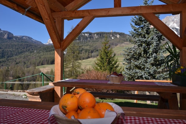 A wooden table with a bowl of oranges, a potted plant, and a checkered tablecloth. - Hotel Villa Gaia (Cortina d'Ampezzo)