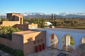 Un edificio tradicional con un patio, vista de montañas nevadas y una palmera.