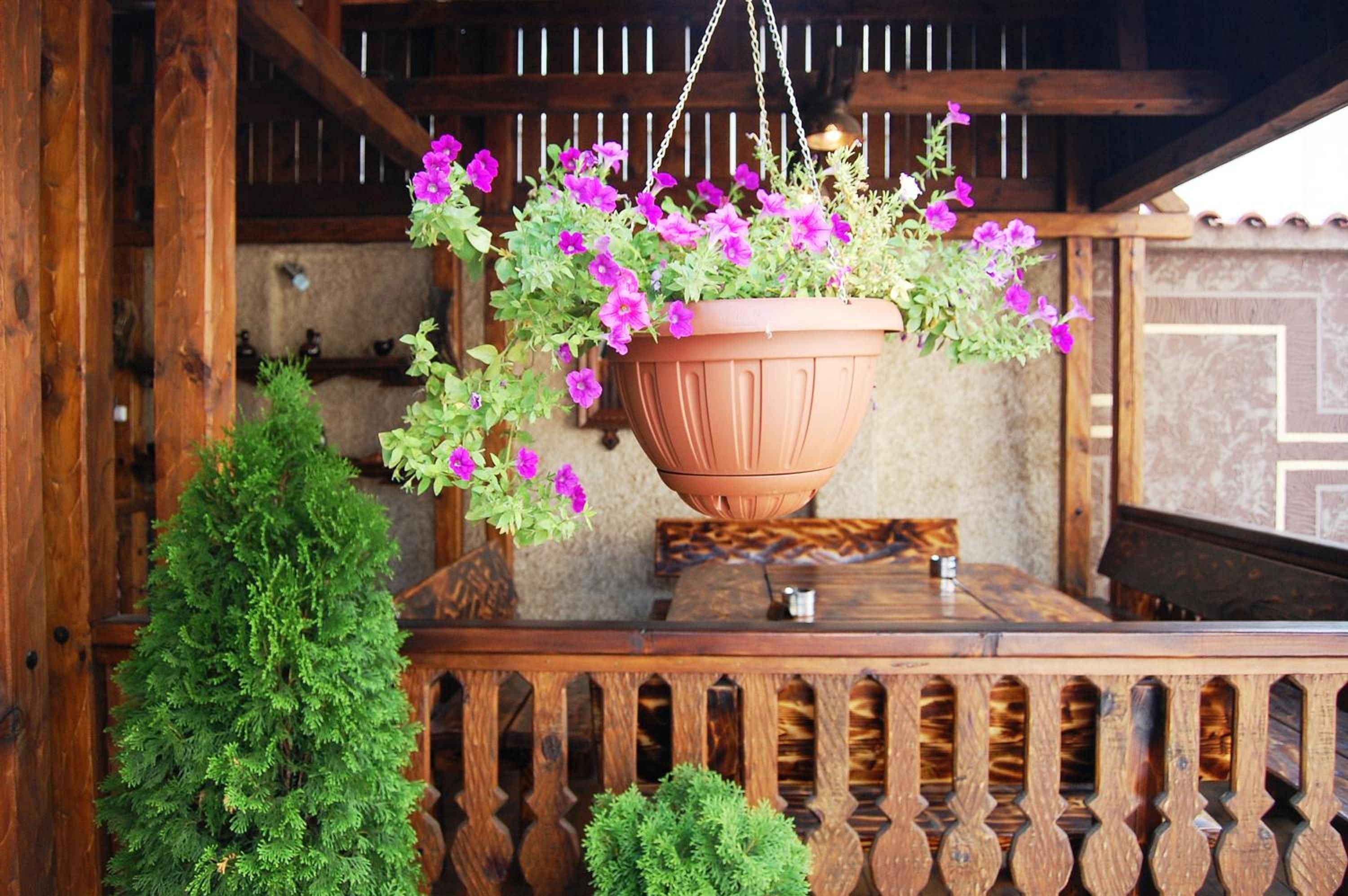 A hanging flower pot with purple flowers on a wooden table.