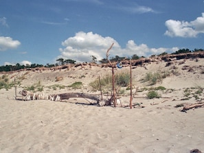 Ein sandiger Strand mit vereinzelter Vegetation und einem klaren Himmel.