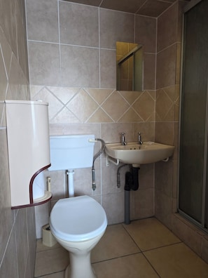 A bathroom with a toilet, sink, and shower.