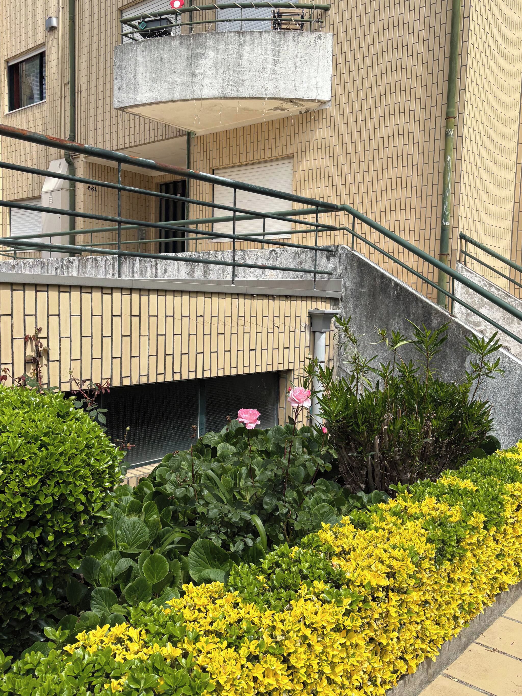 Un edificio de varios pisos con una escalera, un balcón y un jardín con flores amarillas.