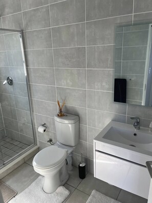 Bathroom - Lovely 1 bedroom unit with a pool and gym facility (Cape Town)