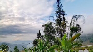 Tempat makan luar