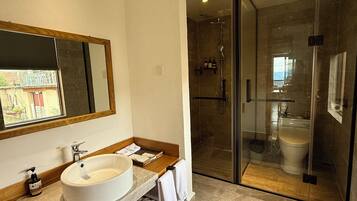 A modern bathroom with a large sink, mirror, and glass-enclosed shower.