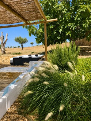 A garden with a pergola, a water feature, and various plants. - Private Alentejo Retreat with Pool & Spa (Esperança Arr)