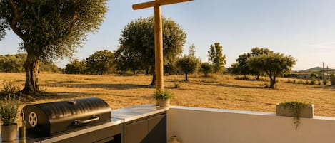 An outdoor patio with a grill, a potted plant, and a view of a dry field with trees.