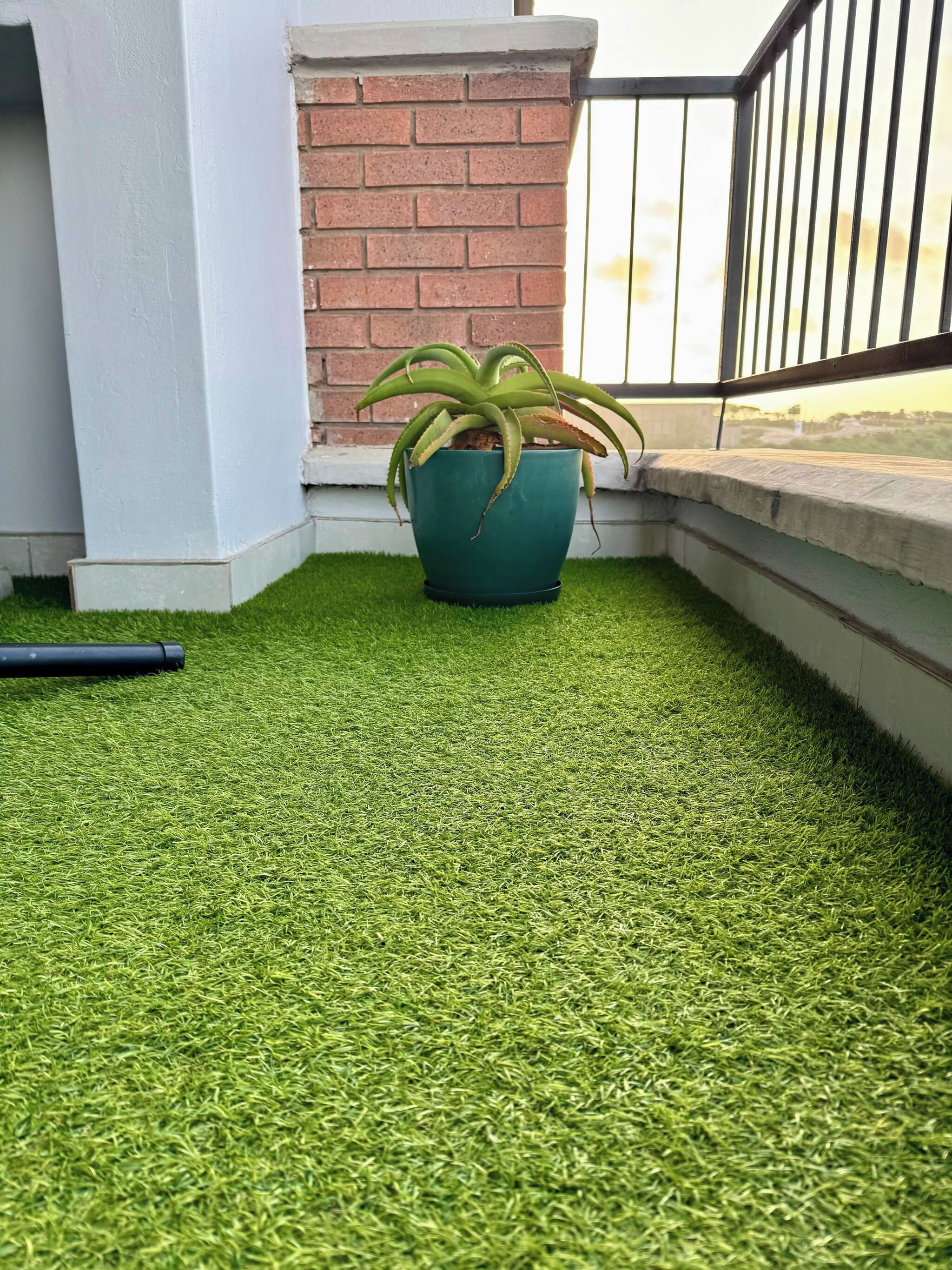 A potted plant on artificial grass near a balcony railing.