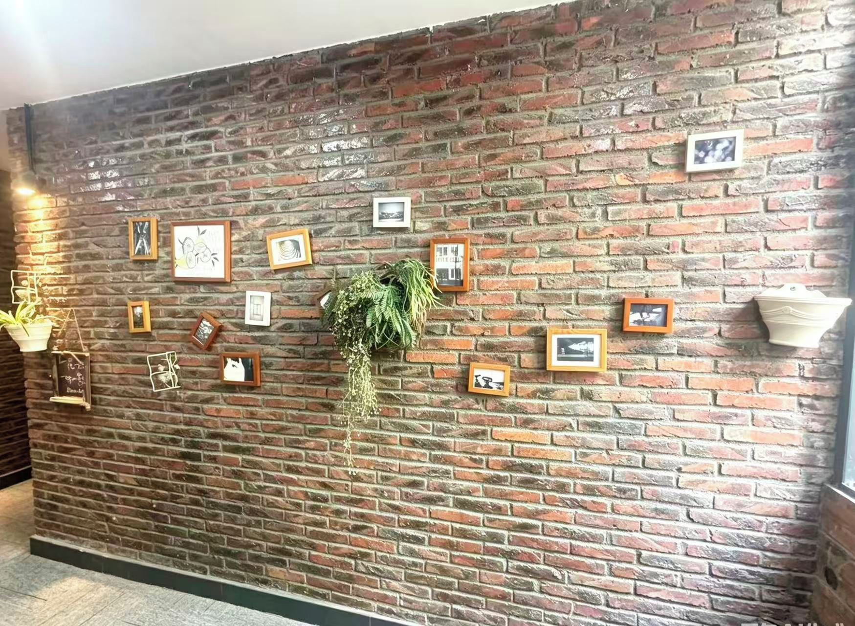 A brick wall with framed pictures and a hanging plant.