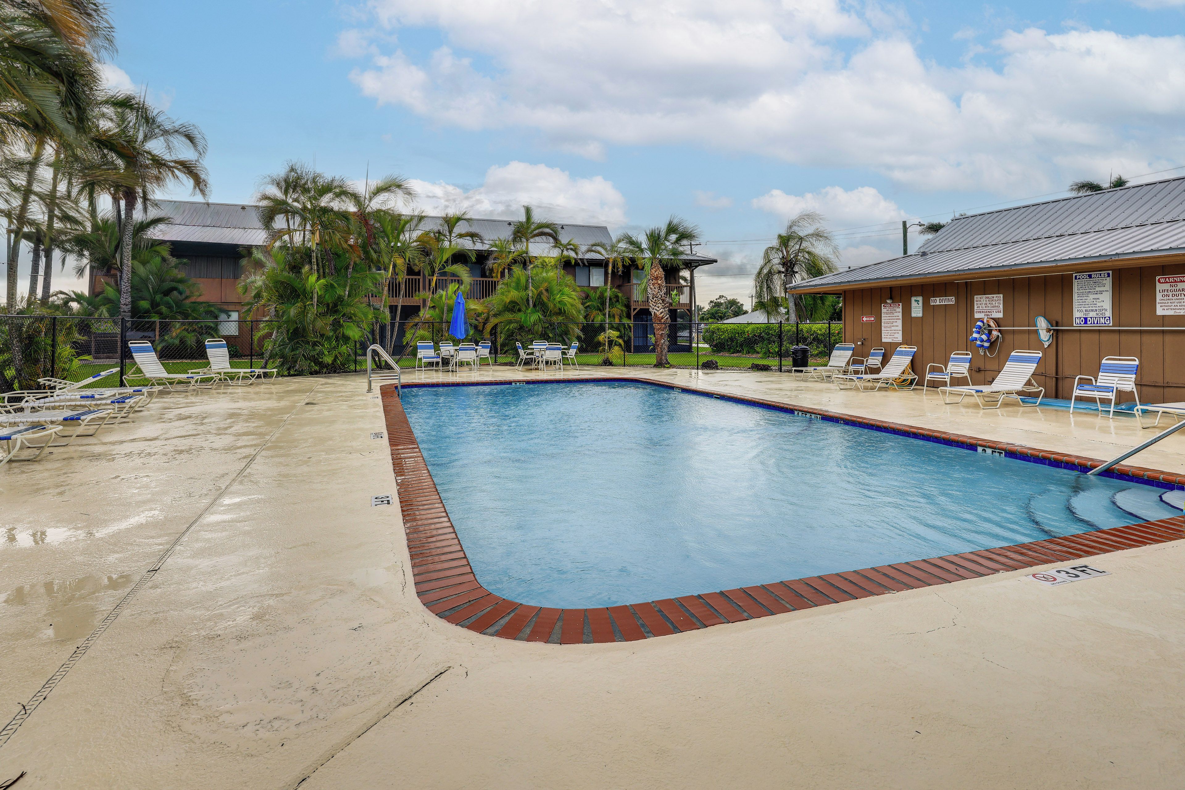 Piscina com espreguiçadeiras e palmeiras.